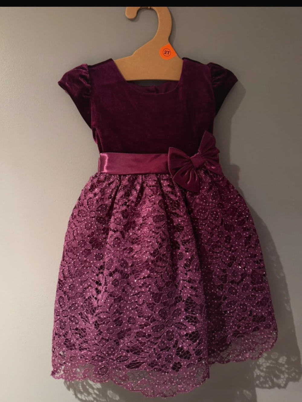 Jona Michelle Plum Velvet & Lace Party Dress
